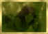 NP Tech : Screen Utilities - � 2011 R&D Of Putnamis